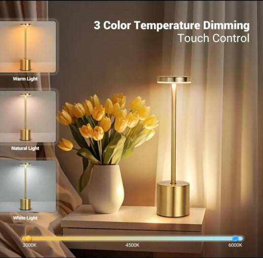 Lamp – USB Rechargeable LED Mood Light (Mix & Random Color)